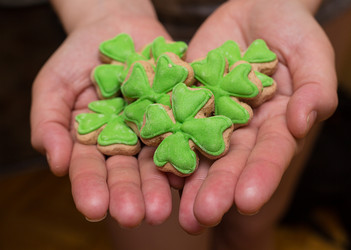 Similar image 15927782