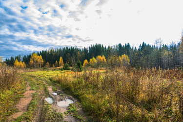 Similar image 16221331