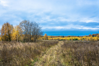 Similar image 16221333