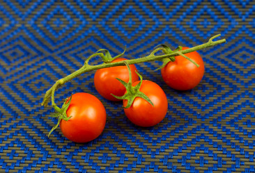 Similar image 15928006