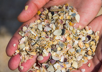 Similar image 15928007