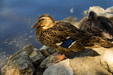 Similar image 15928011