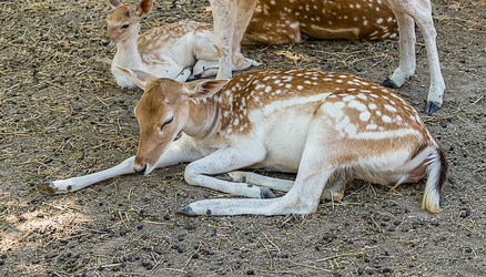 Similar image 15928031