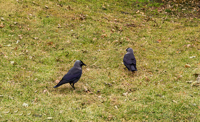 Similar image 15927742