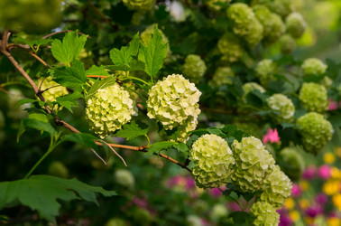 Similar image 15927787