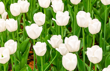 Similar image 15927788