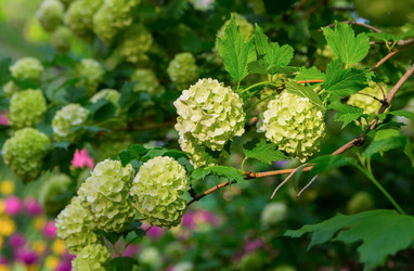 Similar image 15927849