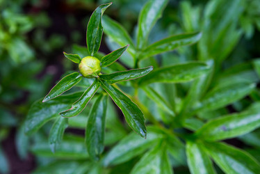 Similar image 15927853