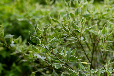 Similar image 15927884