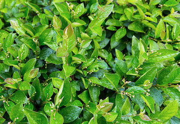 Similar image 15927885