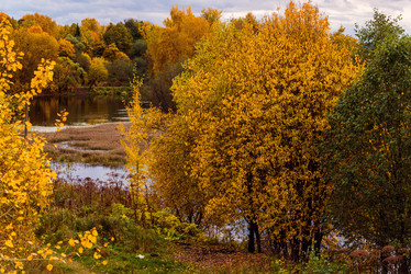 Similar image 16220910