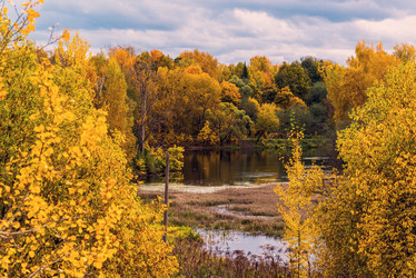 Similar image 16220911