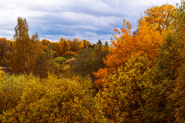 Similar image 16220912