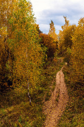 Similar image 16220914