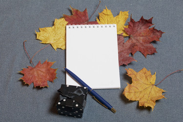 Similar image 16340094