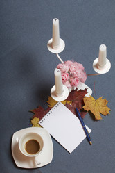 Similar image 16347098