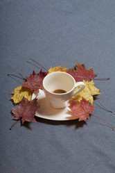 Similar image 16338142