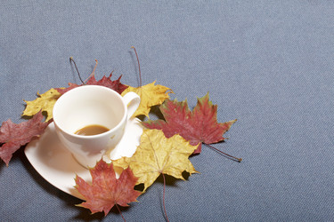 Similar image 16338146