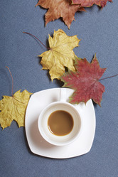 Similar image 16338148