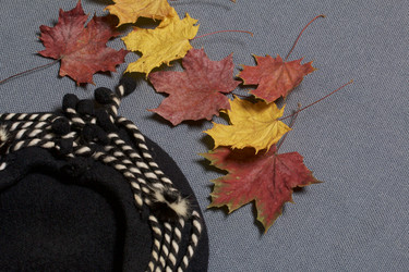 Similar image 16347182