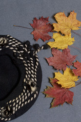 Similar image 16347207