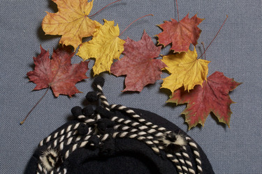 Similar image 16347264