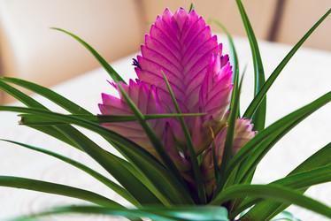 Similar image 16220939