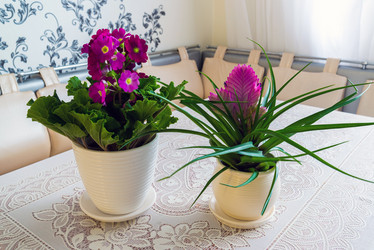 Similar image 16220947