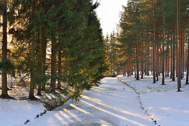 Similar image 15927256