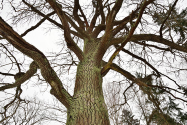 Similar image 15927391