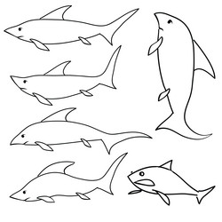 Similar image 15927953