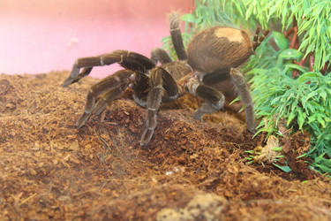 Similar image 15925072