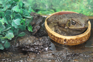 Similar image 15925073