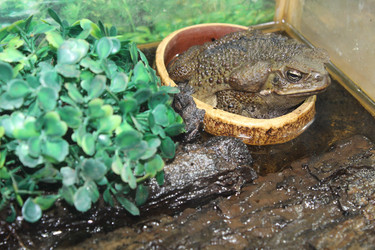 Similar image 15925074