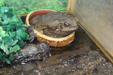 Similar image 15925075