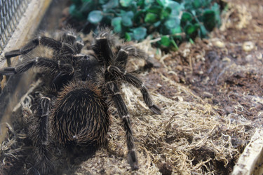 Similar image 15925080