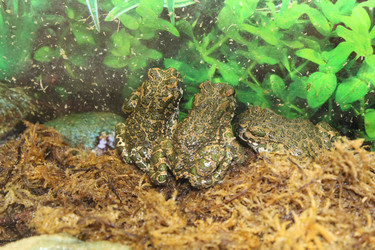 Similar image 15925084