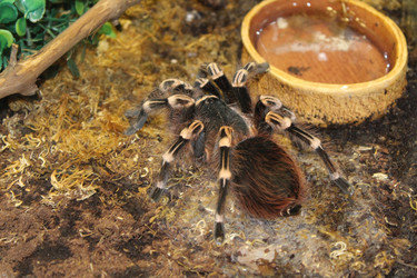 Similar image 15925085