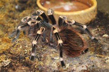 Similar image 15925087