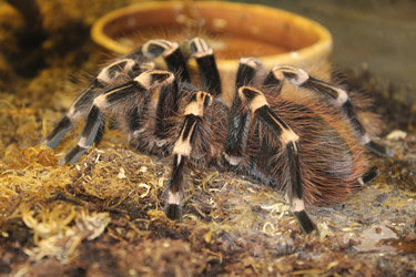 Similar image 15925090