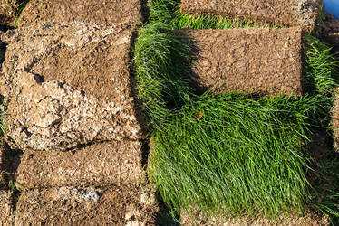 Similar image 16221031