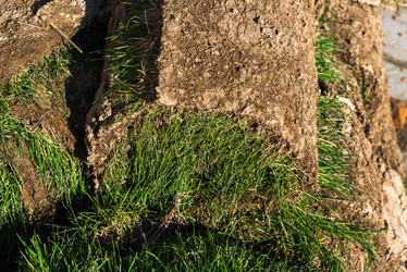 Similar image 16221035