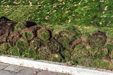 Similar image 16220840