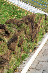 Similar image 16220842