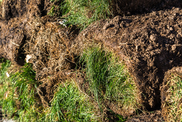 Similar image 16220843