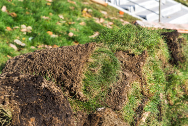 Similar image 16220844