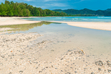 Similar image 15918822