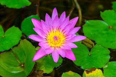 Similar image 15918783