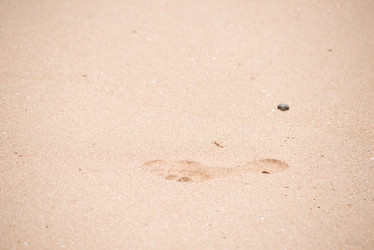 Similar image 15918812