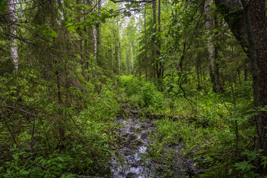 Similar image 16165281